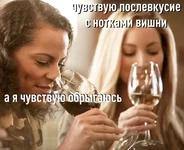 IMG_8902.webp