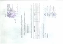 Untitled6.webp