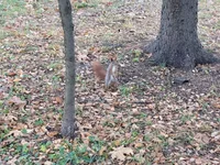 20211107_123647.webp