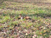 20211107_124210.webp