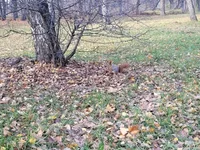 20211107_124237.webp