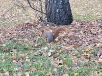 20211107_124305.webp