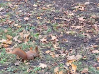 20211121_110531.webp