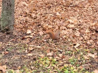 20211121_110539.webp