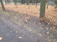20211121_111354.webp
