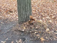 20211121_111424.webp