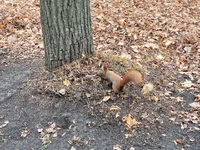 20211121_111431.webp