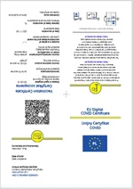 cov19.webp