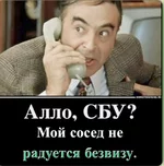lN57ptP0ZxQ.webp