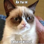 hitrg.webp