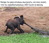 IMG_0057.webp