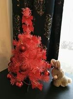 IMG_20210227_193536_723.webp