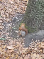 20211128_124319.webp