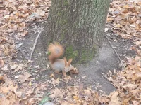 20211128_125657.webp