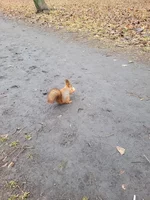 20211212_121212.webp