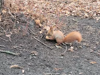 20211212_123936.webp