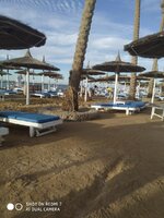 IMG_20211221_154819.jpg