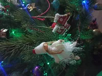 IMG_20211222_234039.webp