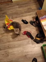IMG-44afdd5f3839e97a439b43e12e0611a1-V.webp
