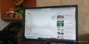 1640337886802.webp