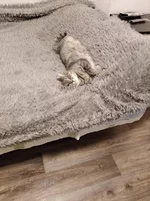IMG-e584ccceed8ea973ad413c118ec2dfa1-V.webp