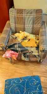 IMG_20190621_200642.webp