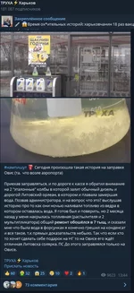 ovis.webp