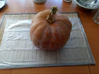 IMG_20220102_124907.webp