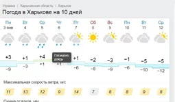 .webp