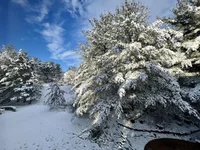 B5AA7D82-C899-471B-8A74-1F5A0786C001.webp B5AA7D82-C899-471B-8A74-1F5A0786C001.webp