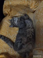 IMG_20220108_174544_compress1.webp