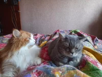20220113_120936.jpg