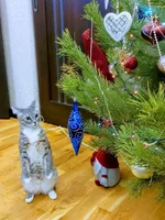 IMG_20220114_083220_418.webp
