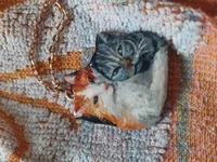 20200710_192207.webp