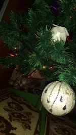 _viber_2022-01-09_19-12-40-443.webp