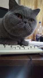  на клавиатуре.webp
