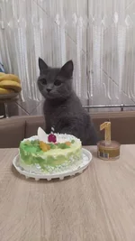 271769169_655749672526431_5687042990061118303_n.webp