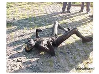 slide_1.webp
