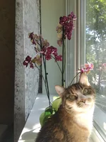 IMG_20190518_101238.webp