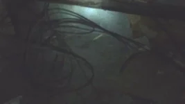  панков на техэтаже 004.webp