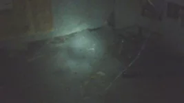  панков на техэтаже 005.webp