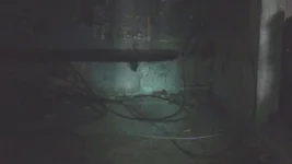  панков на техэтаже 006.webp