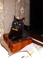 20181213_222149.webp