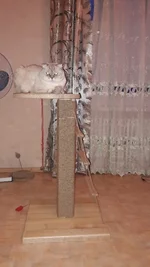 20171119_160814.webp