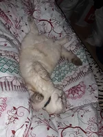 20190101_160557.webp