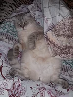 20190101_164805.webp