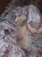 20190101_164512.webp