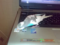 020820102418.webp