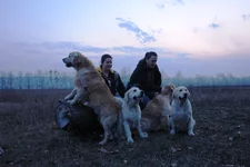 DSC00405.webp