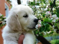  Запорожье (38).webp